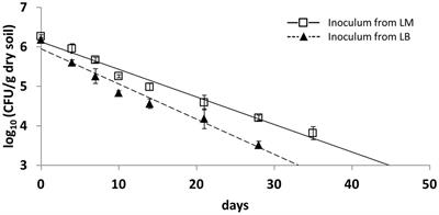 Persistence of Salmonella Typhimurium LT2 in Soil Enhanced after Growth in Lettuce Medium